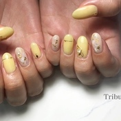 yellow  nail